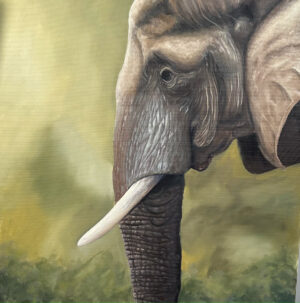 The Elephant 24x24 oil on canvas (Sold)